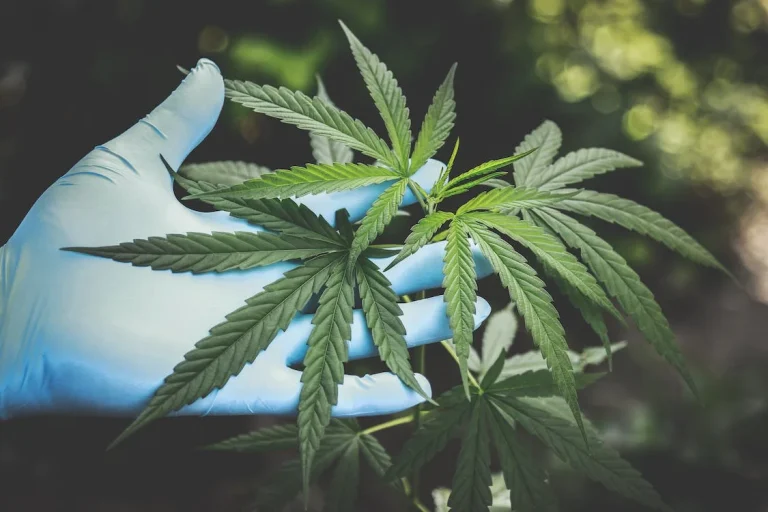 Best Cannabis Strains for Relaxing After a Long Day