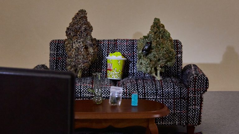 Best Movies to Watch While High