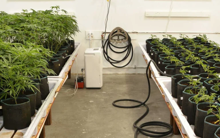 How to Build the Ultimate Smoke Room at Home