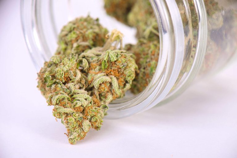 Sweet and Fruity Strains Worth Trying