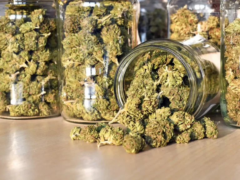 Biggest Cannabis Trends Taking Over This Year