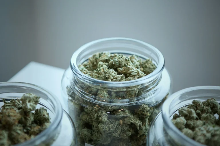 Hybrid Strains That Offer the Perfect Balance