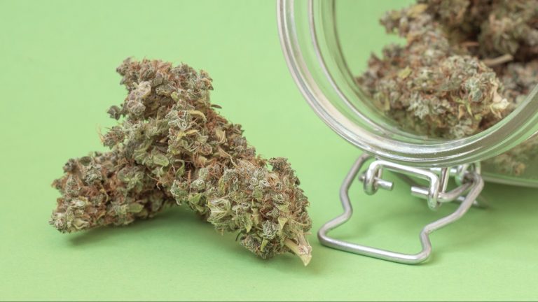 Why Microdosing Cannabis Is Growing Fast