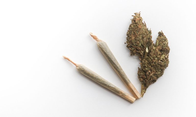 Why Pre Rolls Are More Popular Than Ever